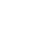 Life with Lobo