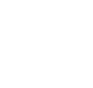 Life with Lobo